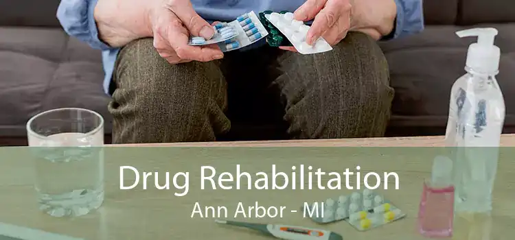 Drug Rehabilitation Ann Arbor - MI