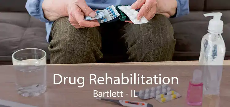 Drug Rehabilitation Bartlett - IL