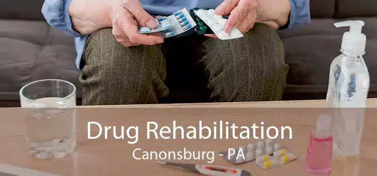 Drug Rehabilitation Canonsburg - PA