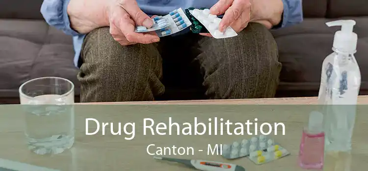 Drug Rehabilitation Canton - MI