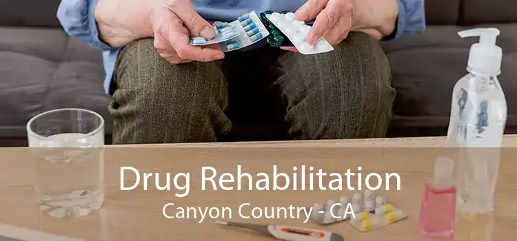 Drug Rehabilitation Canyon Country - CA