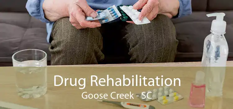 Drug Rehabilitation Goose Creek - SC