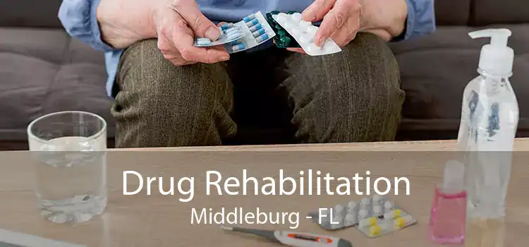 Drug Rehabilitation Middleburg - FL