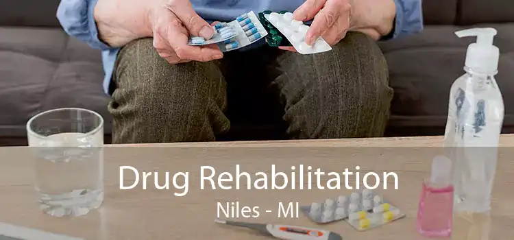 Drug Rehabilitation Niles - MI