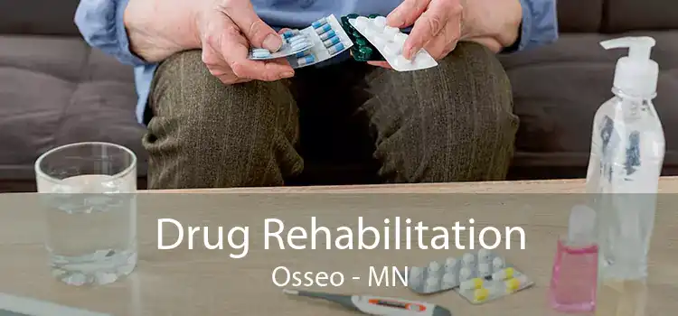 Drug Rehabilitation Osseo - MN