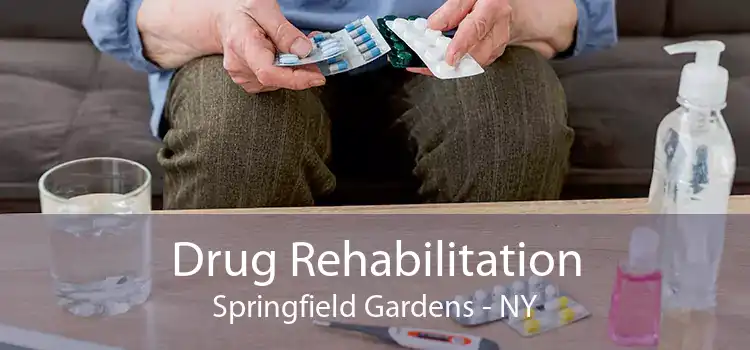 Drug Rehabilitation Springfield Gardens - NY