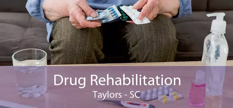 Drug Rehabilitation Taylors - SC