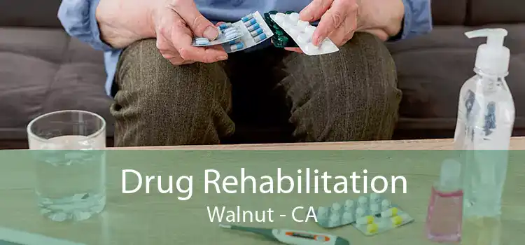 Drug Rehabilitation Walnut - CA